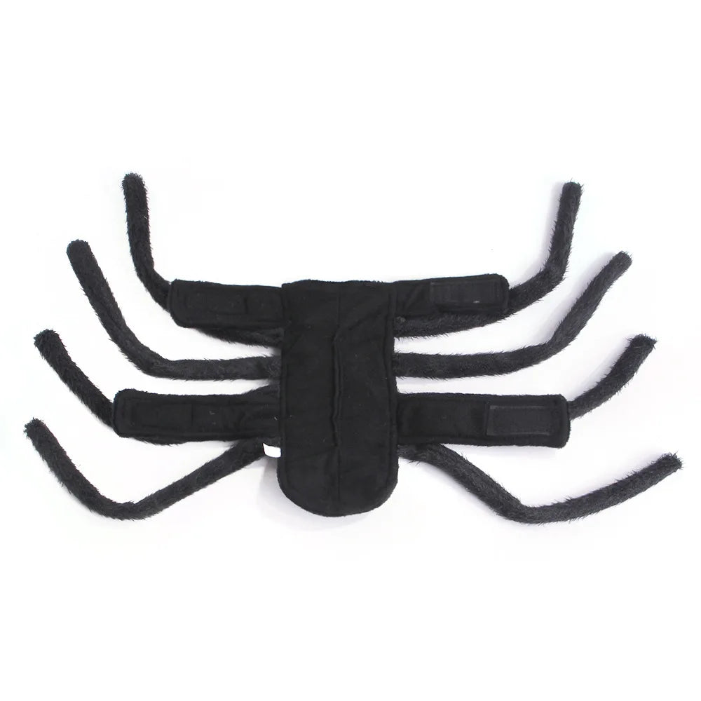 Cutie Spidy Pet Costume