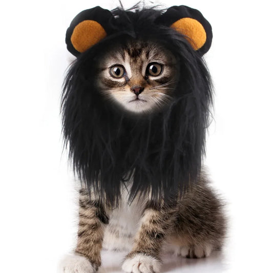 Lion Cat Wig