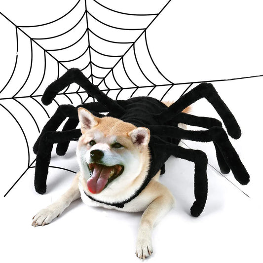 Cutie Spidy Pet Costume