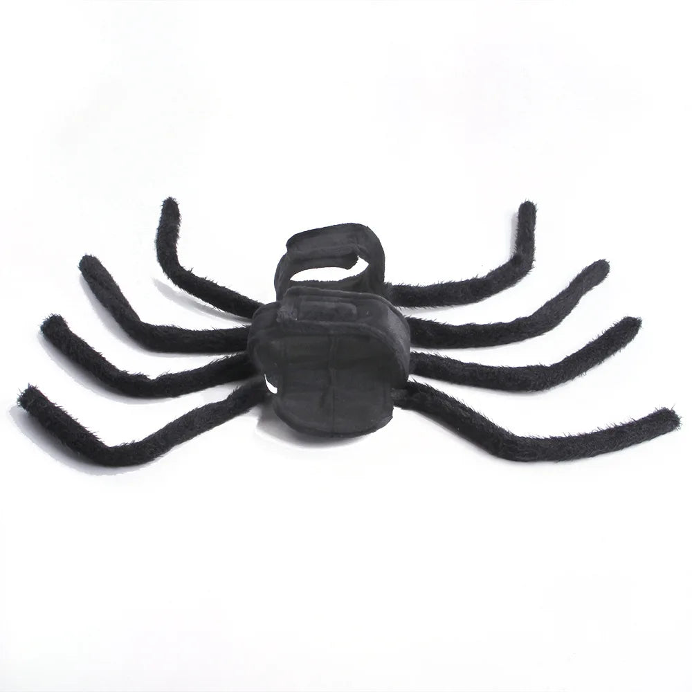 Cutie Spidy Pet Costume